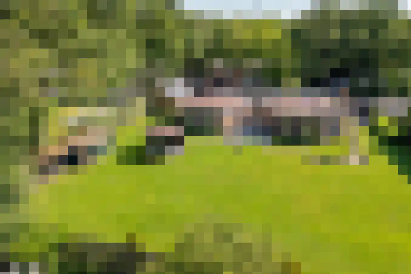 Stoukamp 25 Bakkeveen