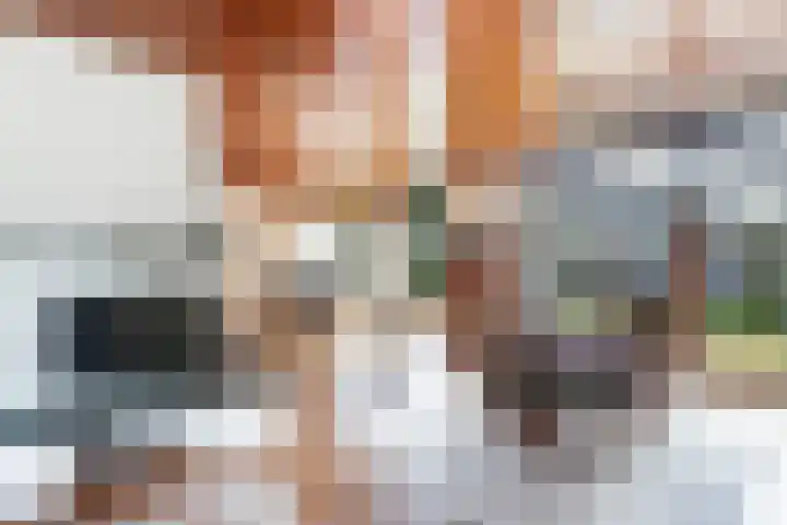 Stoukamp 6 Bakkeveen thumbnail 10