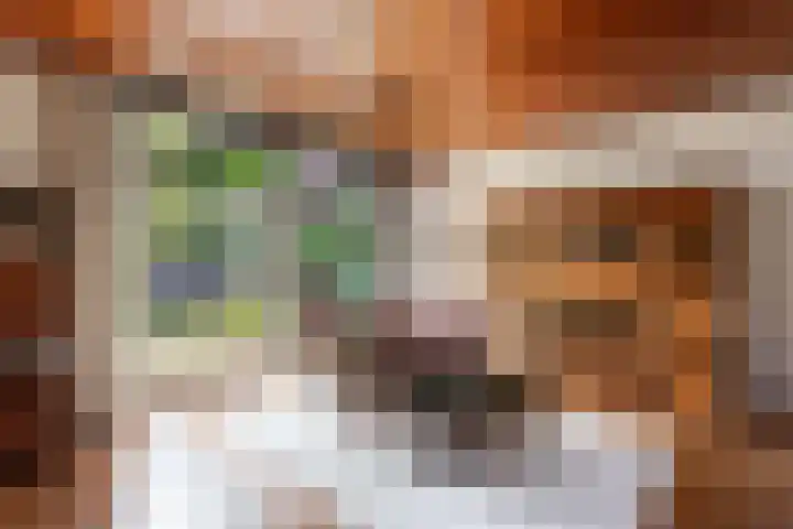 Stoukamp 6 Bakkeveen thumbnail 11