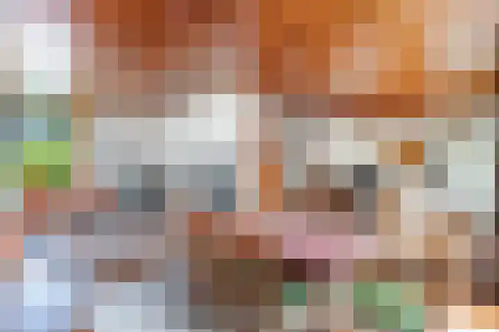 Stoukamp 6 Bakkeveen thumbnail 14