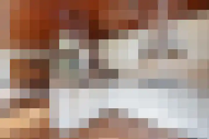 Stoukamp 6 Bakkeveen thumbnail 16