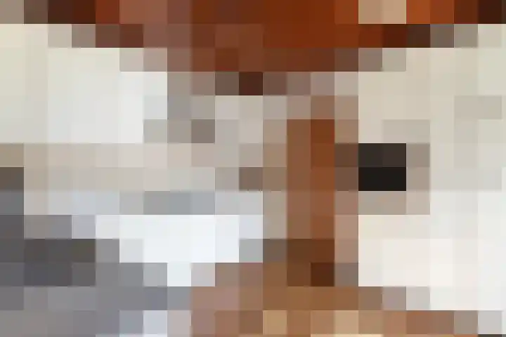 Stoukamp 6 Bakkeveen thumbnail 17