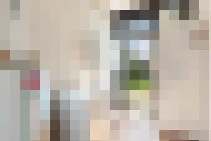 Stoukamp 6 Bakkeveen thumbnail 19