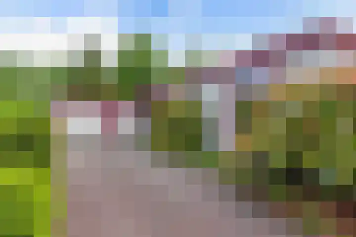 Stoukamp 6 Bakkeveen foto 2