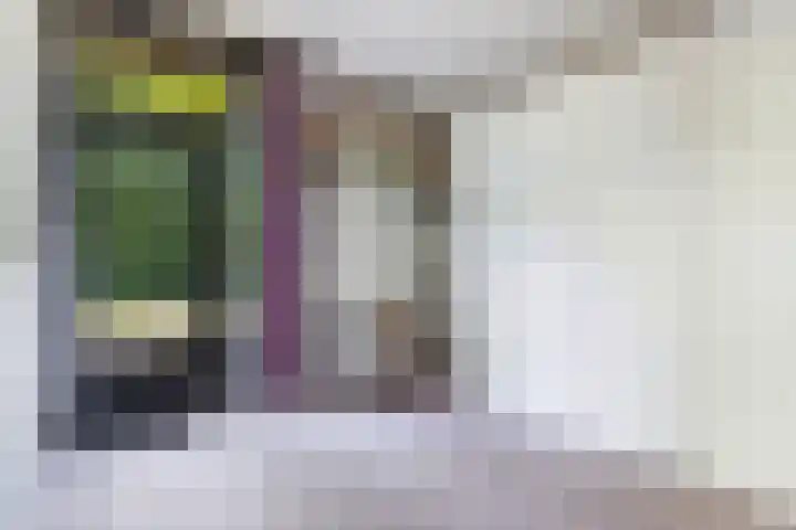 Stoukamp 6 Bakkeveen thumbnail 22