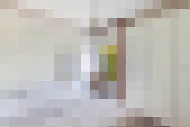 Stoukamp 6 Bakkeveen thumbnail 25