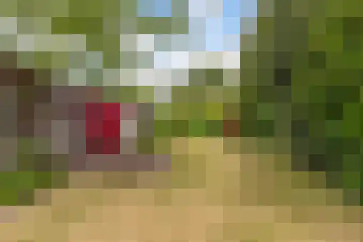 Stoukamp 6 Bakkeveen thumbnail 30