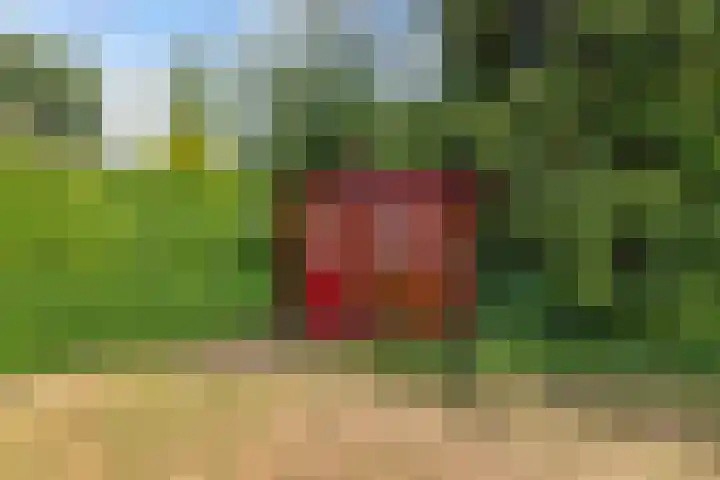 Stoukamp 6 Bakkeveen thumbnail 32