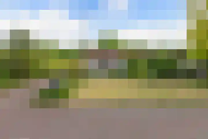 Stoukamp 6 Bakkeveen thumbnail 38