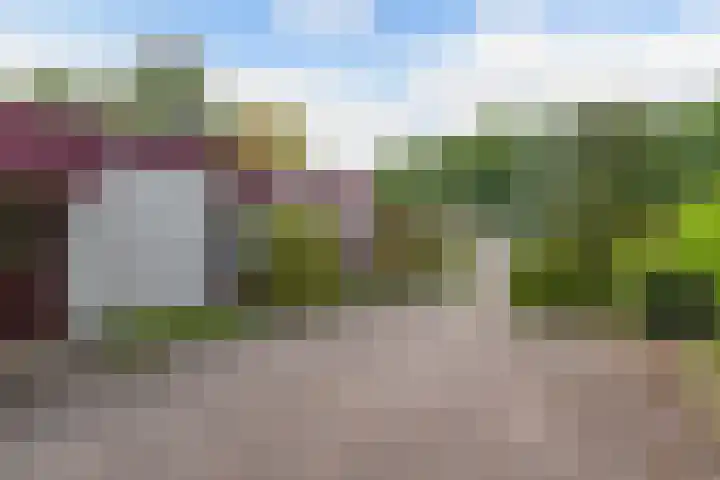 Stoukamp 6 Bakkeveen thumbnail 39