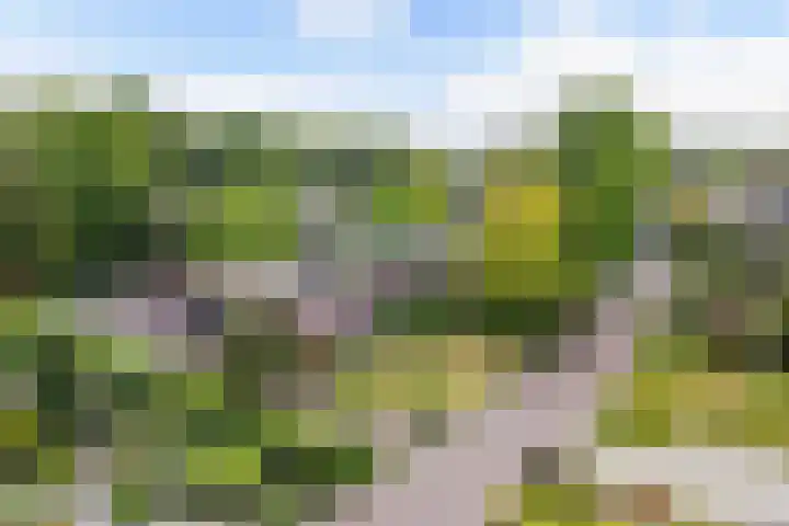 Stoukamp 6 Bakkeveen thumbnail 40