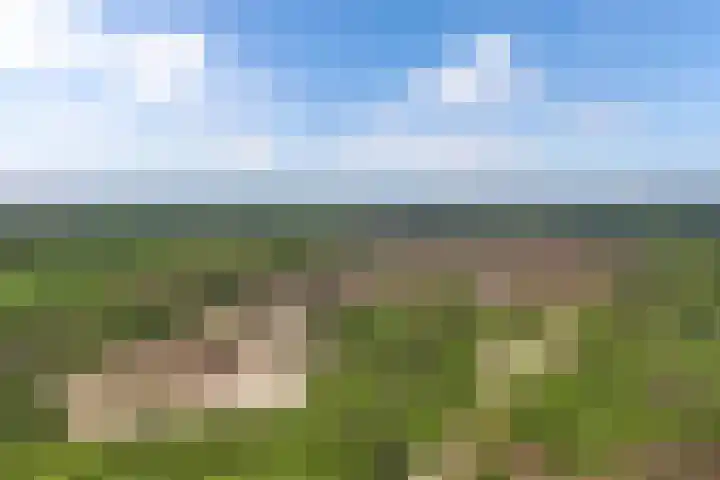 Stoukamp 6 Bakkeveen thumbnail 41