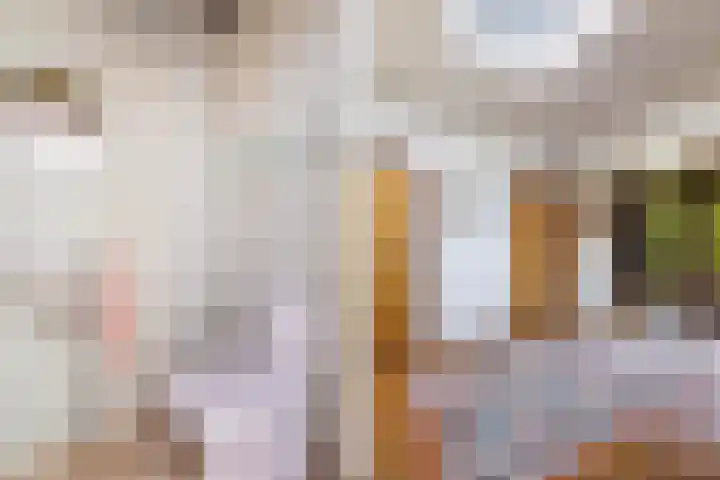 Stoukamp 6 Bakkeveen thumbnail 6