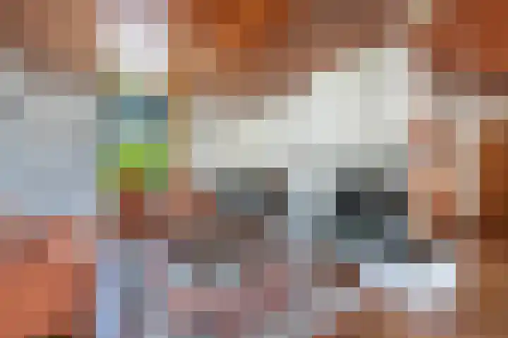 Stoukamp 6 Bakkeveen thumbnail 7