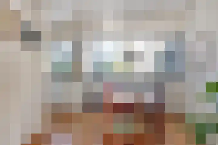 Stoutenburg 23 Landsmeer thumbnail 13