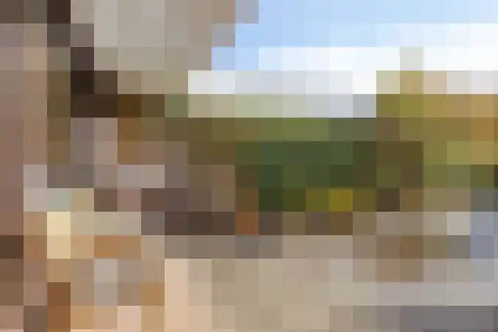 Stoutenburg 23 Landsmeer thumbnail 20