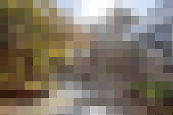 Stoutenburg 23 Landsmeer thumbnail 21