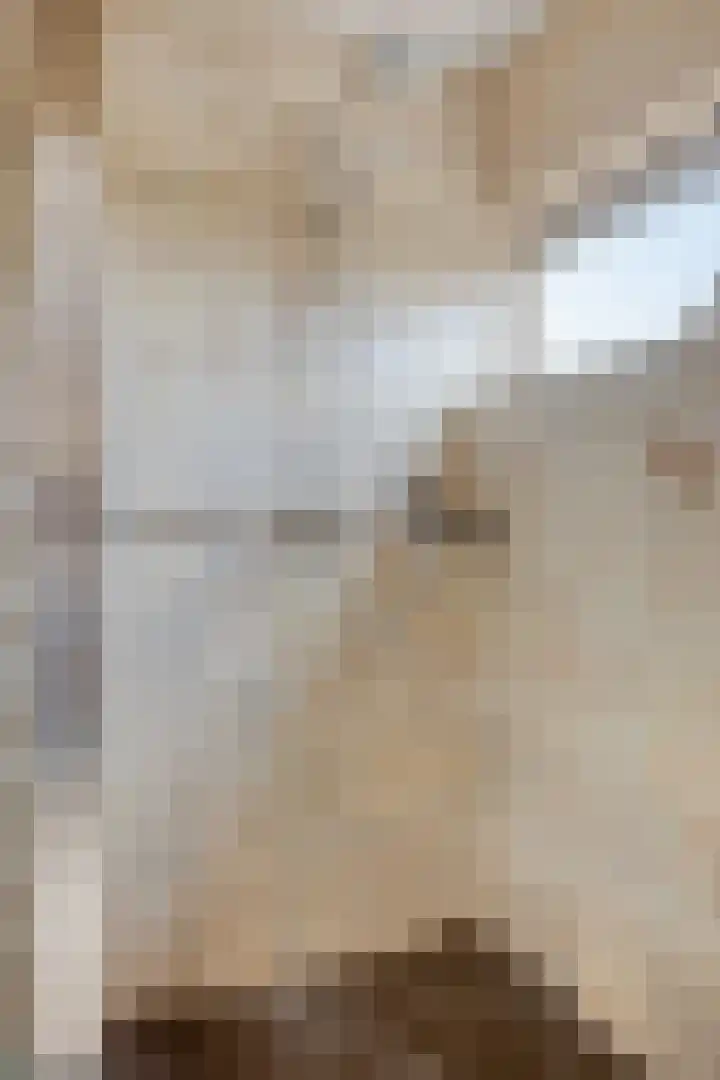 Stoutenburg 23 Landsmeer thumbnail 30