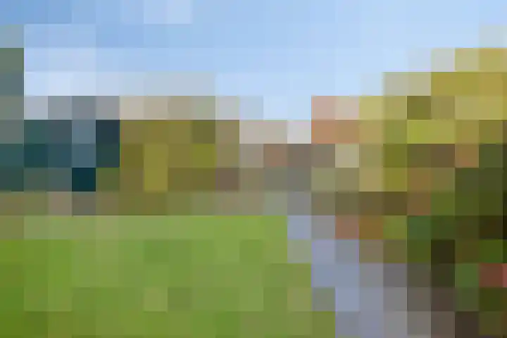 Stoutenburg 23 Landsmeer thumbnail 34