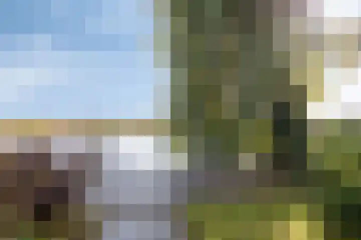 Stoutenburg 23 Landsmeer thumbnail 35