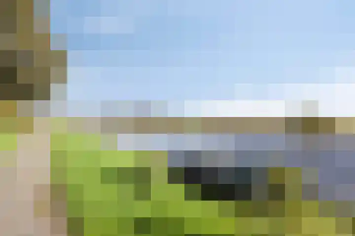 Stoutenburg 23 Landsmeer thumbnail 39