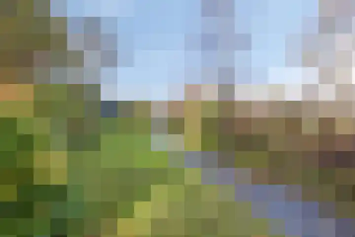 Stoutenburg 23 Landsmeer thumbnail 4