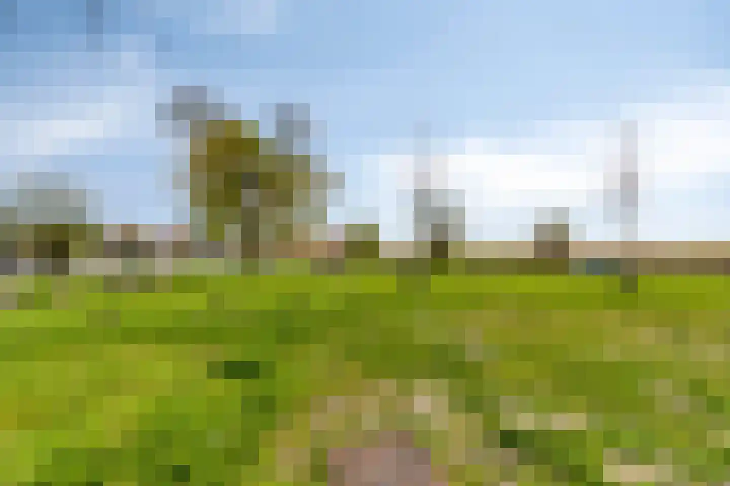 Stoutenburg 32 Landsmeer thumbnail 32