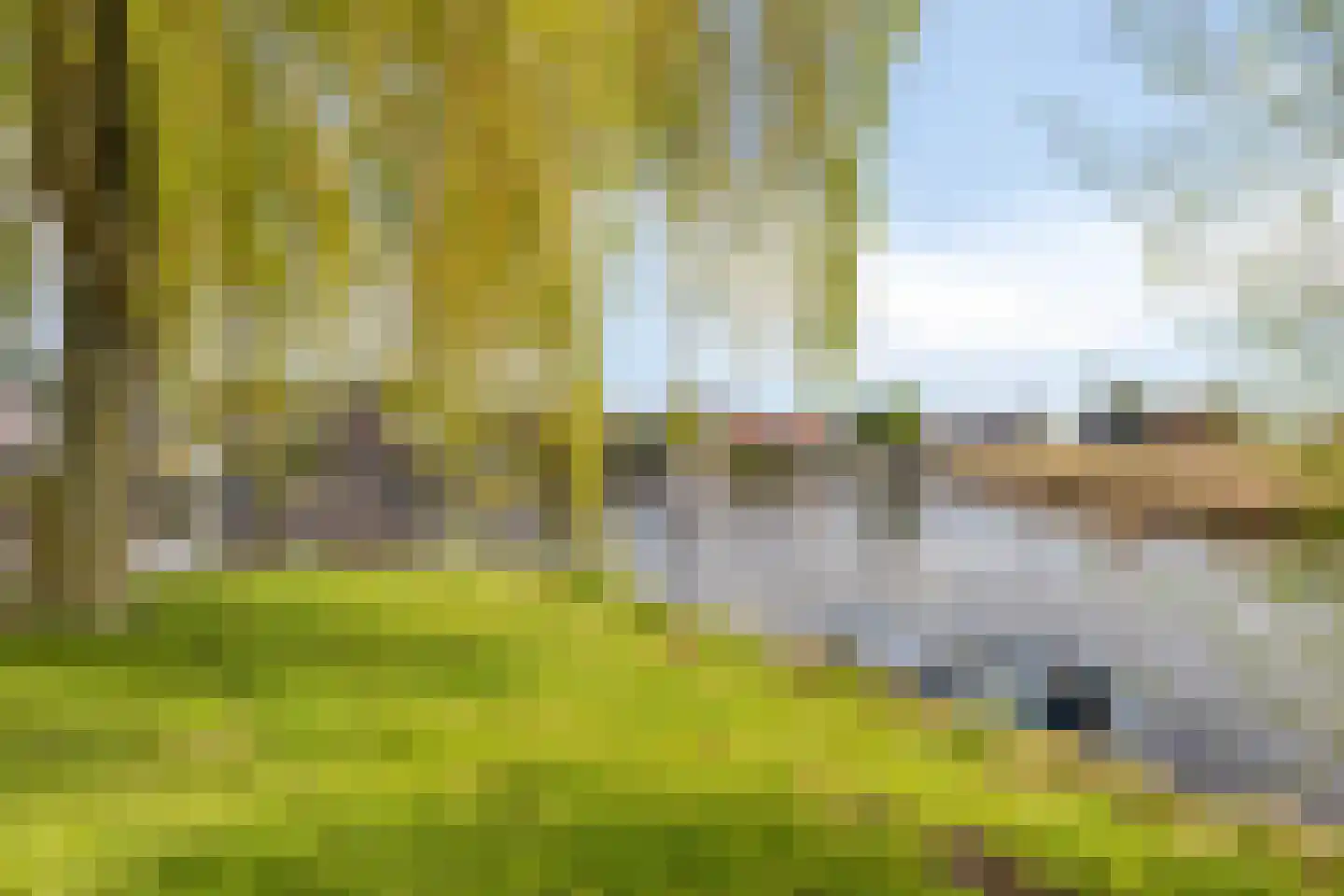 Stoutenburg 32 Landsmeer thumbnail 7