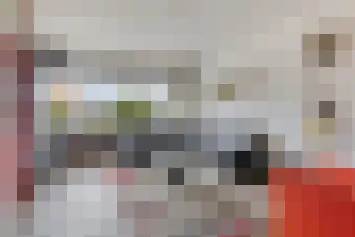 Stoutenburg 60 Landsmeer thumbnail 10