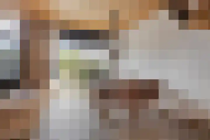 Stoutenburg 60 Landsmeer thumbnail 11