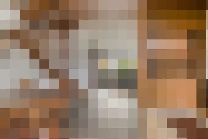 Stoutenburg 60 Landsmeer thumbnail 12