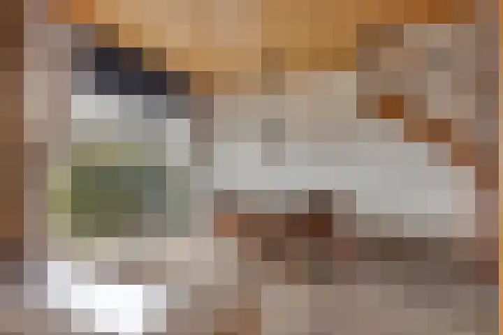 Stoutenburg 60 Landsmeer thumbnail 13