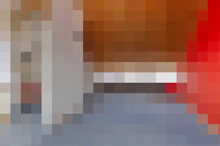 Stoutenburg 60 Landsmeer thumbnail 30