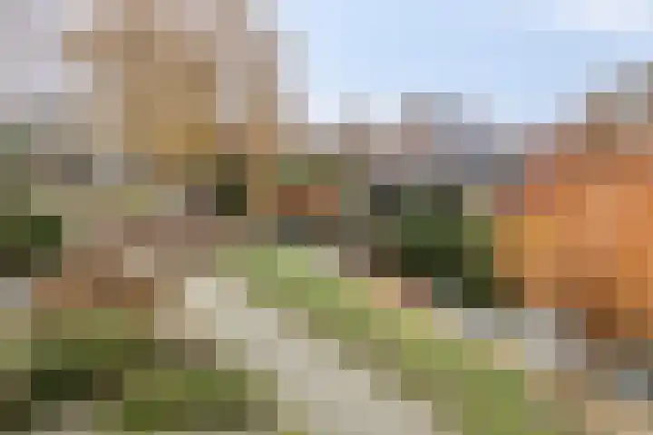 Stoutenburg 60 Landsmeer thumbnail 41