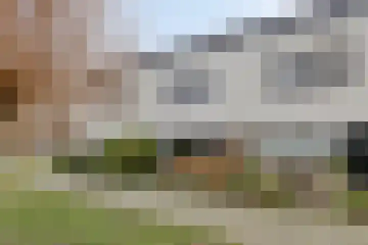 Stoutenburg 60 Landsmeer thumbnail 5