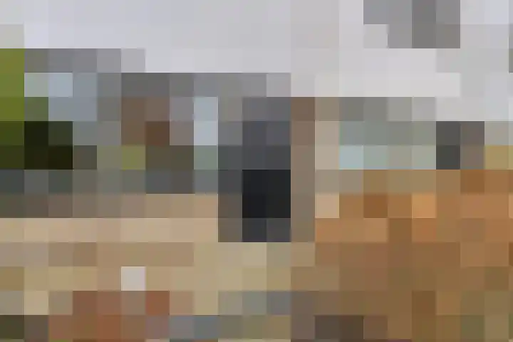 Stoutenburg 60 Landsmeer thumbnail 6
