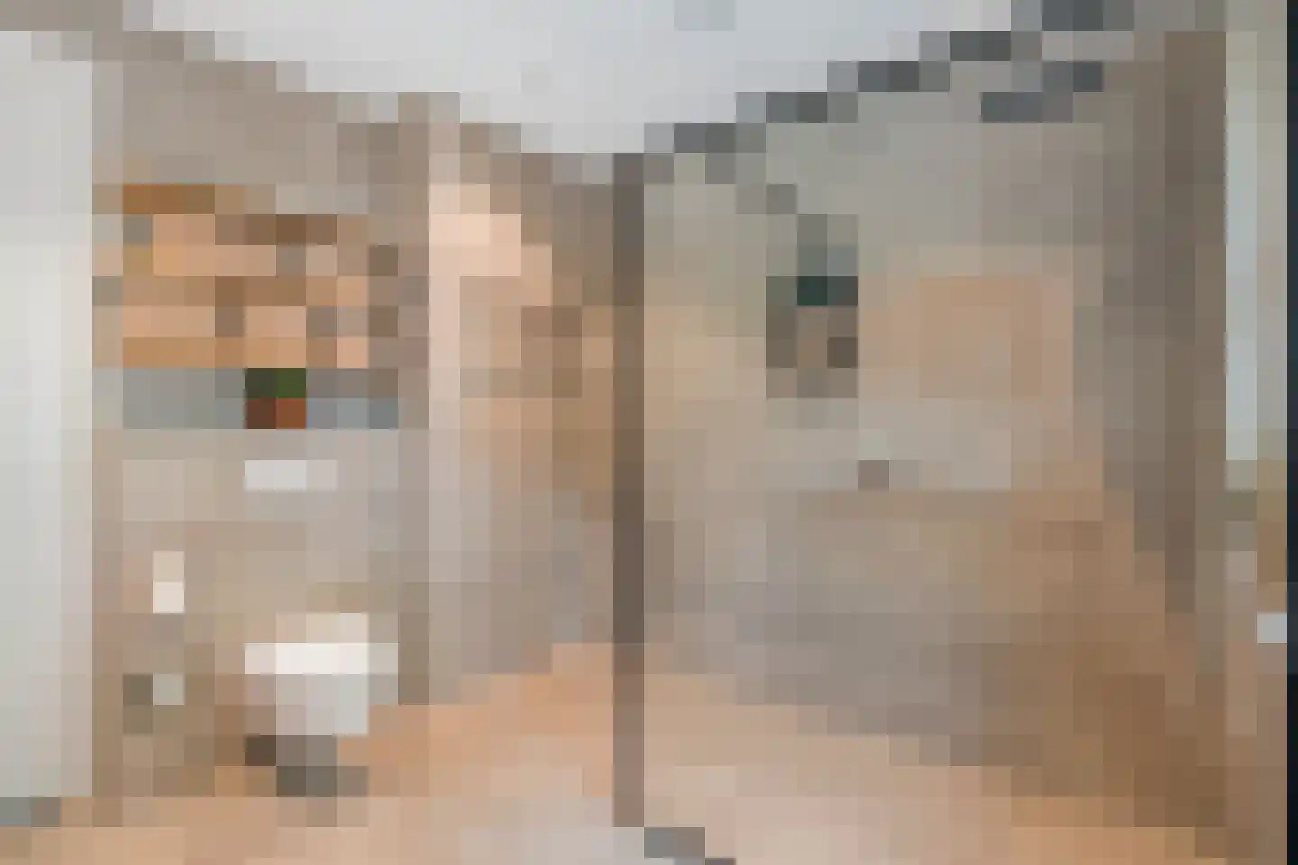 Stoutenburgerlaan 21 d Hoevelaken thumbnail 33