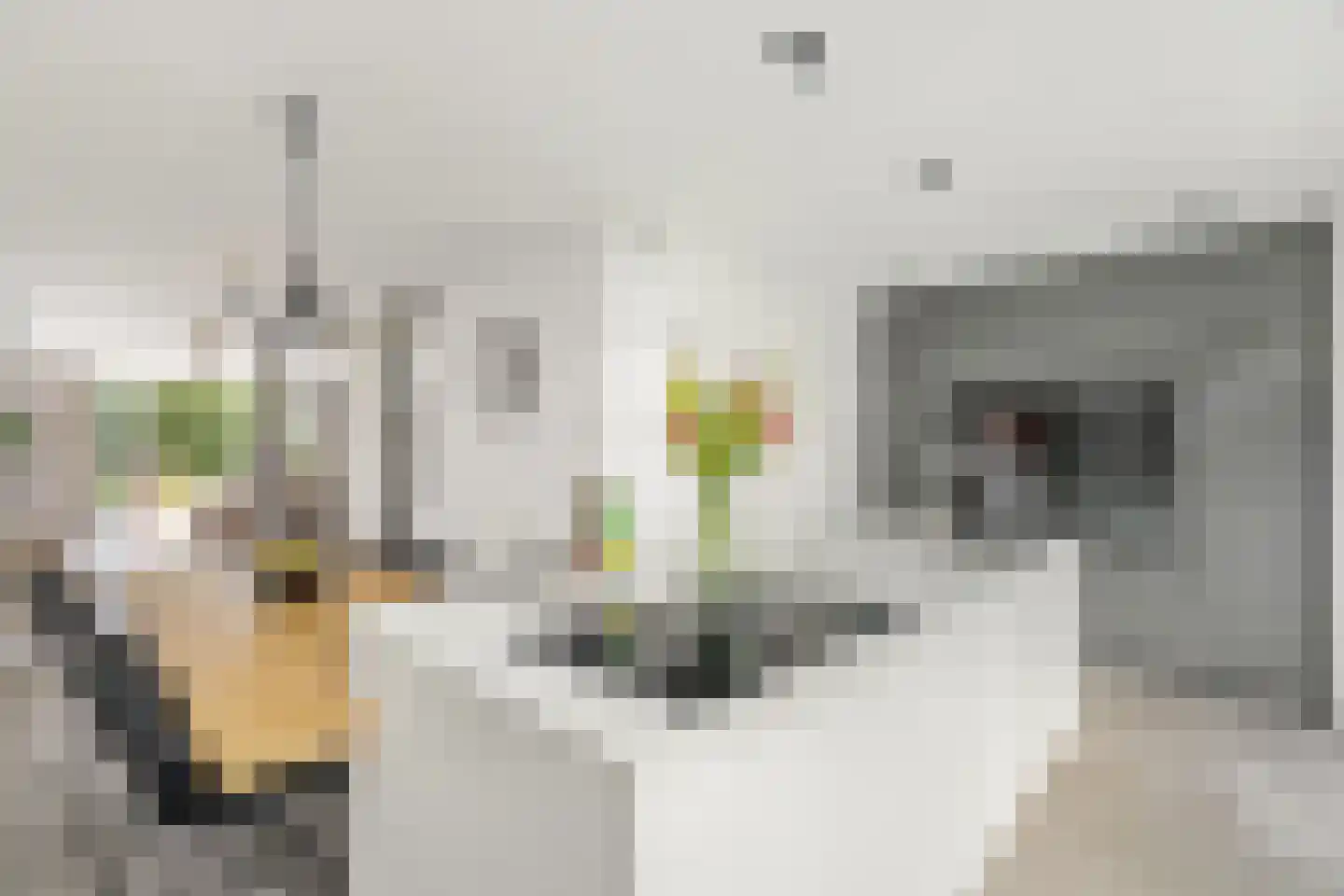 Stoutenburgerlaan 21 d Hoevelaken thumbnail 6