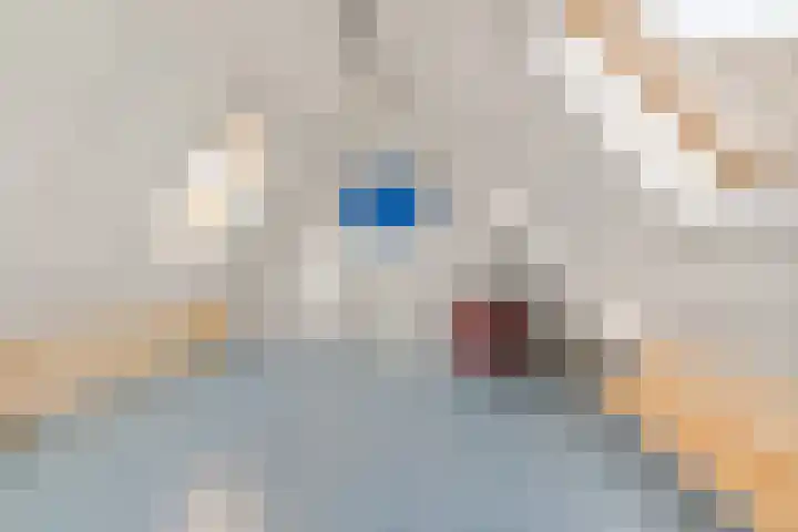 Stoutenburgerlaan 36 Hoevelaken thumbnail 24