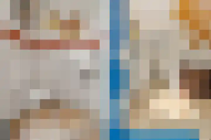 Stoutenburgerlaan 36 Hoevelaken thumbnail 6