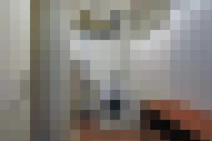 Stoutenburgerlaan 4 a Hoevelaken thumbnail 21