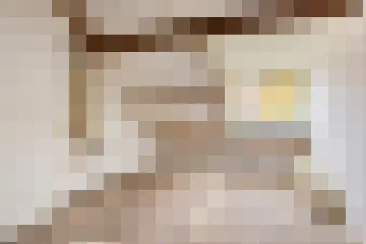 Stoutenburgstraat 32 Breda thumbnail 4