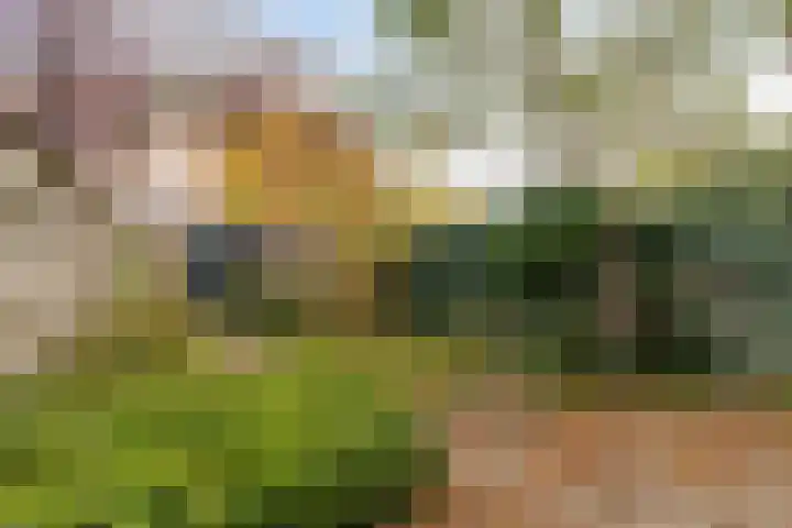 Stoutenburgstraat 32 Breda thumbnail 5
