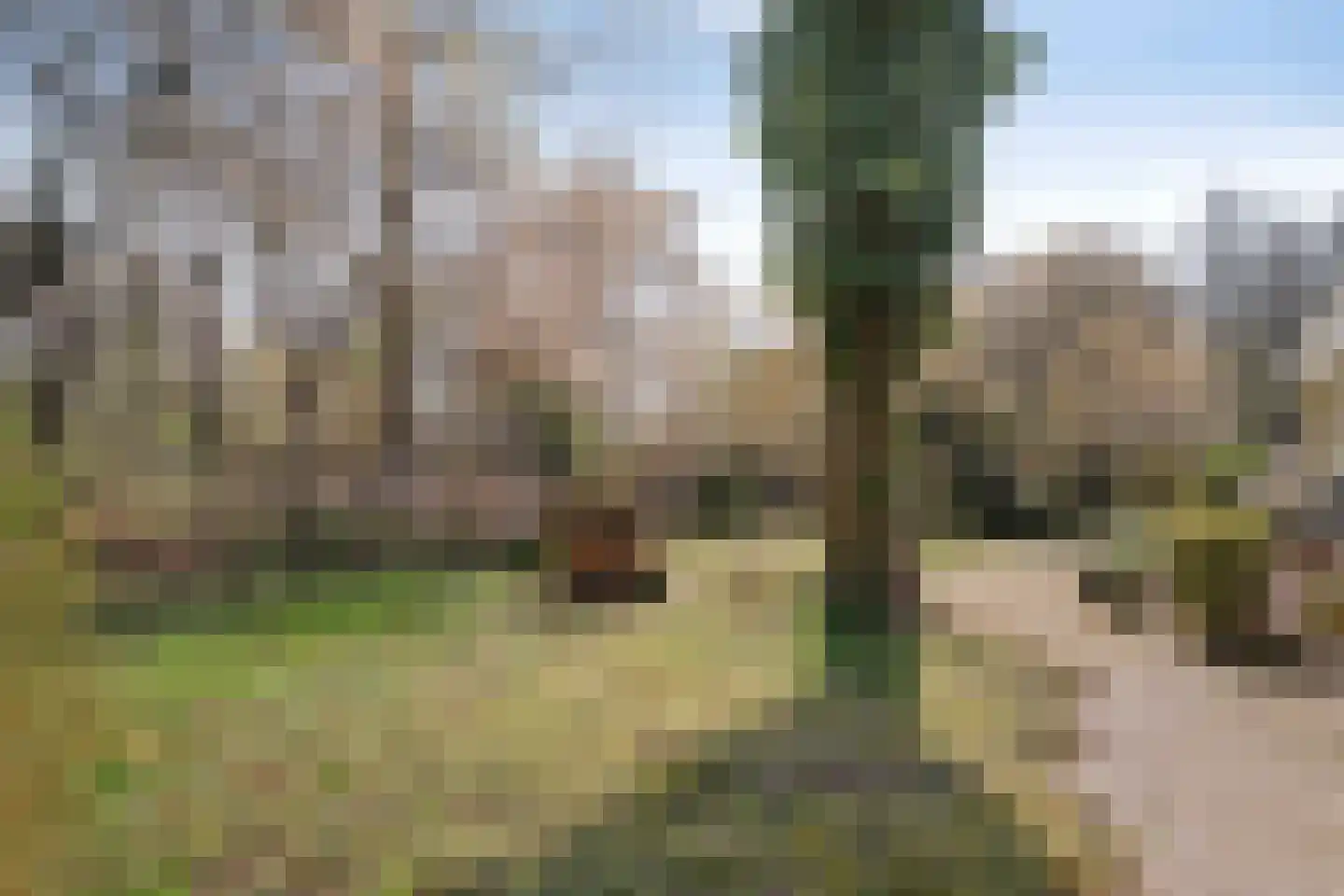 Stouweweg 3 002 Ommen thumbnail 27