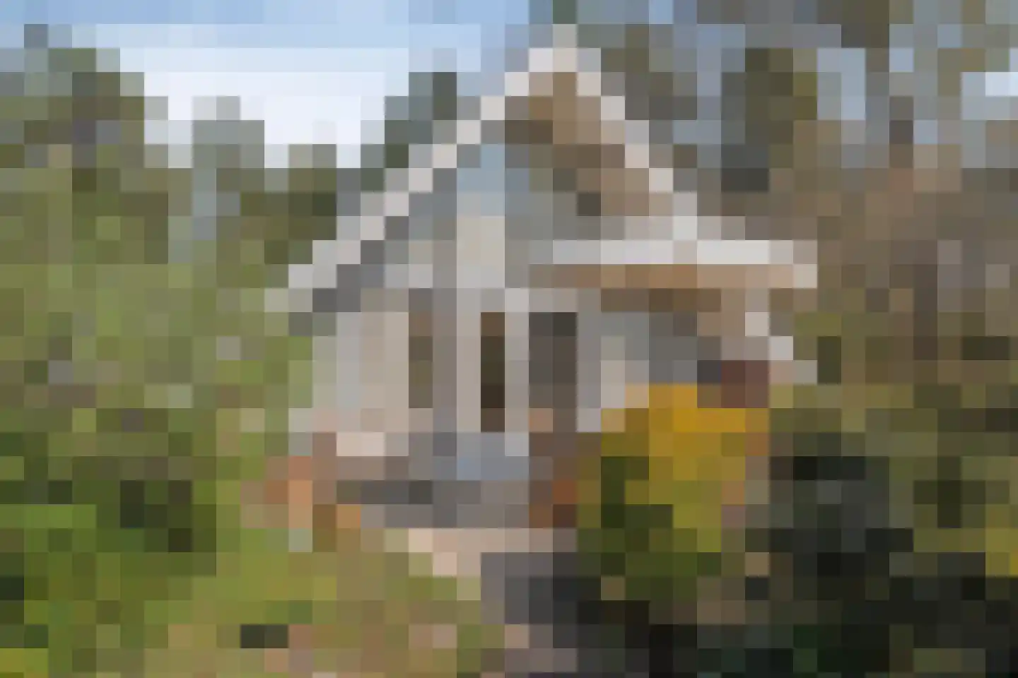 Stouweweg 3 002 Ommen thumbnail 4