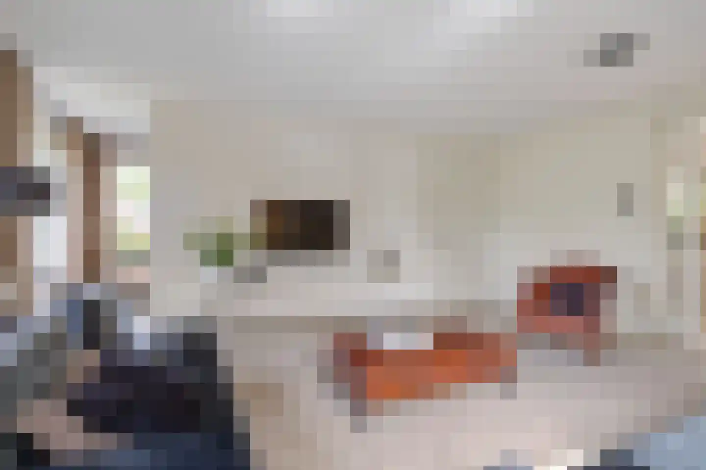 Stox 2 Panningen thumbnail 13