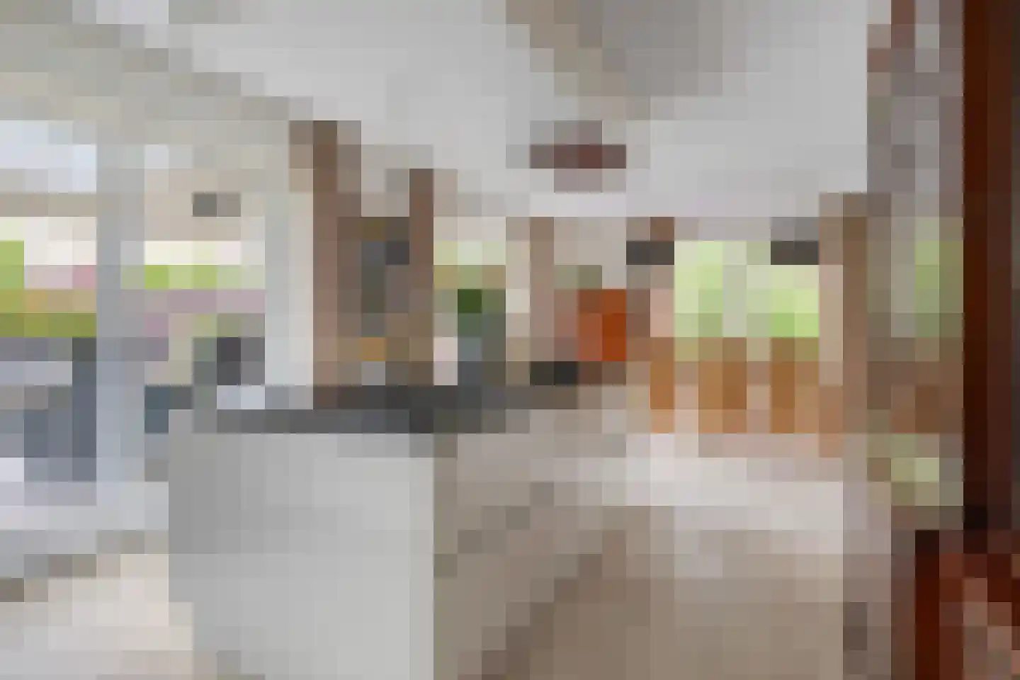 Stox 2 Panningen thumbnail 21
