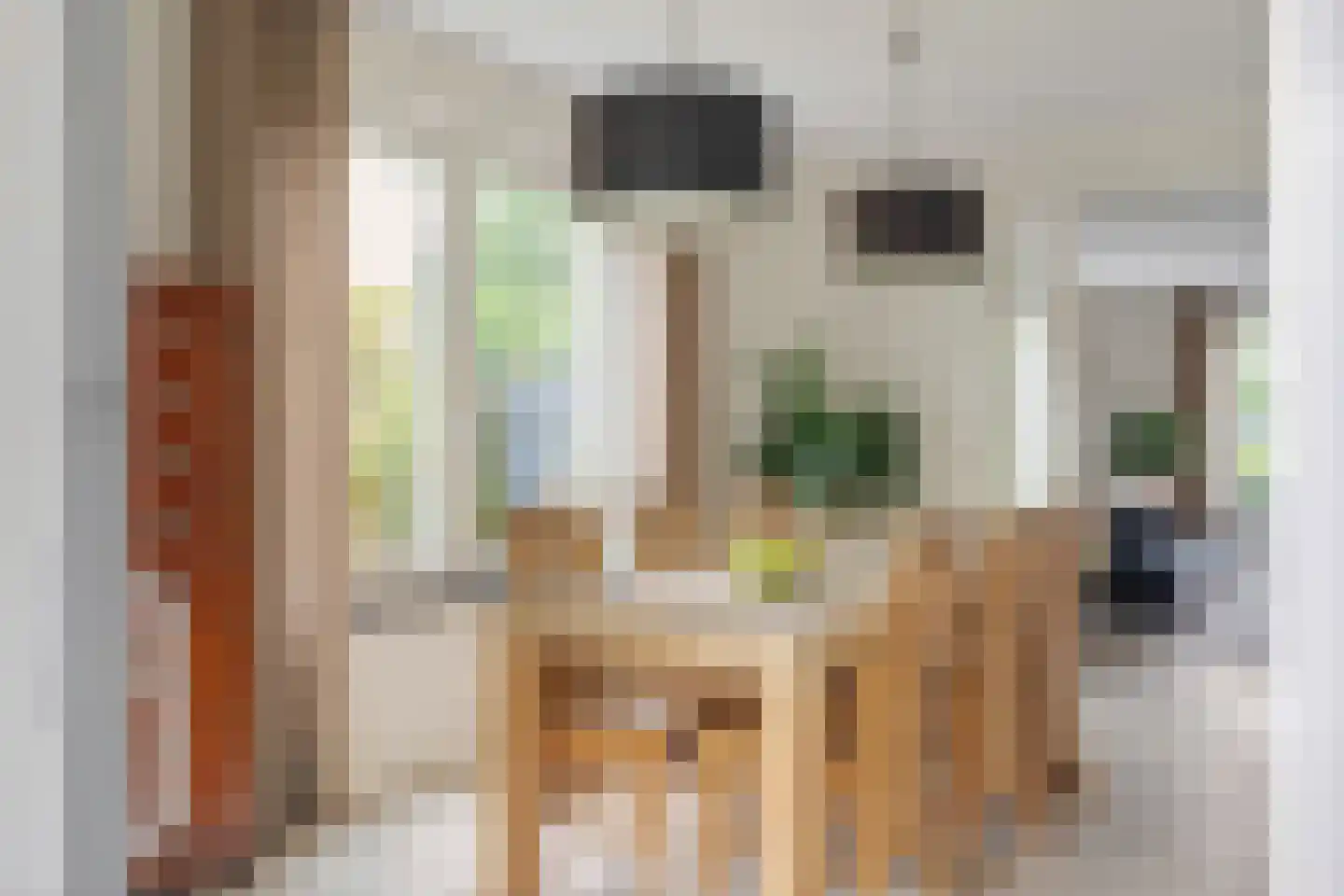 Stox 2 Panningen thumbnail 30