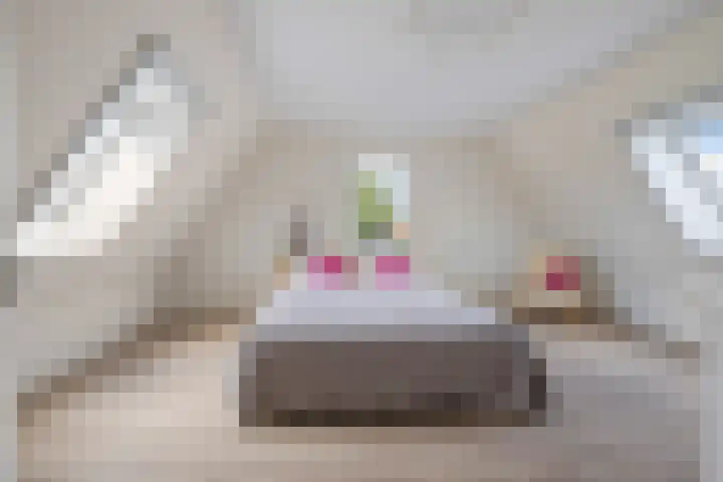 Stox 2 Panningen thumbnail 57