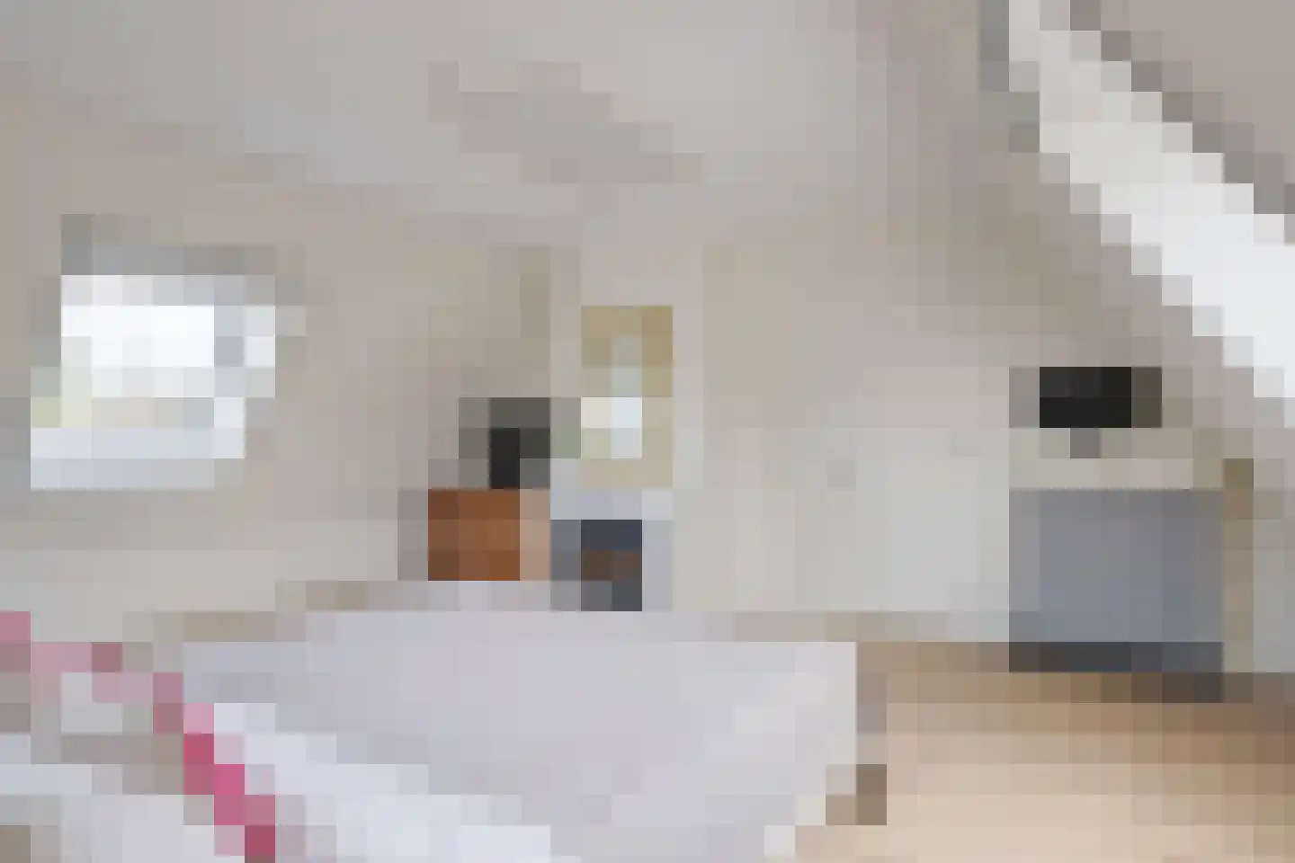 Stox 2 Panningen thumbnail 58